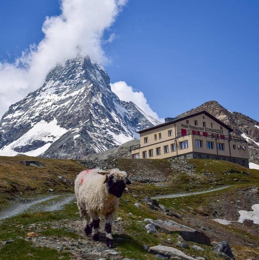 Hotel Schwarzsee Zermatt Exterior foto